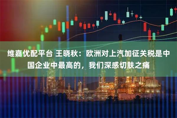 维嘉优配平台 王晓秋：欧洲对上汽加征关税是中国企业中最高的，我们深感切肤之痛