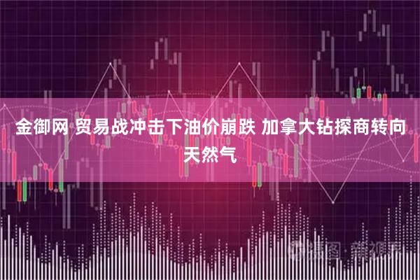 金御网 贸易战冲击下油价崩跌 加拿大钻探商转向天然气