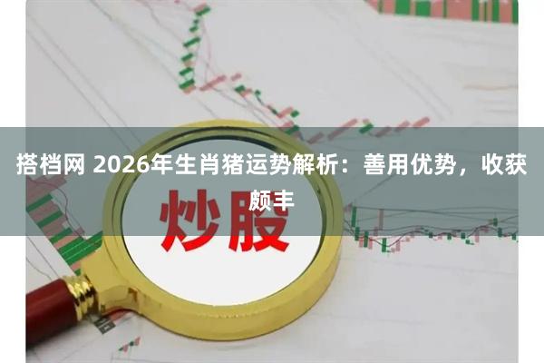 搭档网 2026年生肖猪运势解析：善用优势，收获颇丰