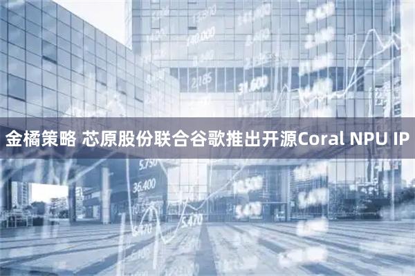 金橘策略 芯原股份联合谷歌推出开源Coral NPU IP